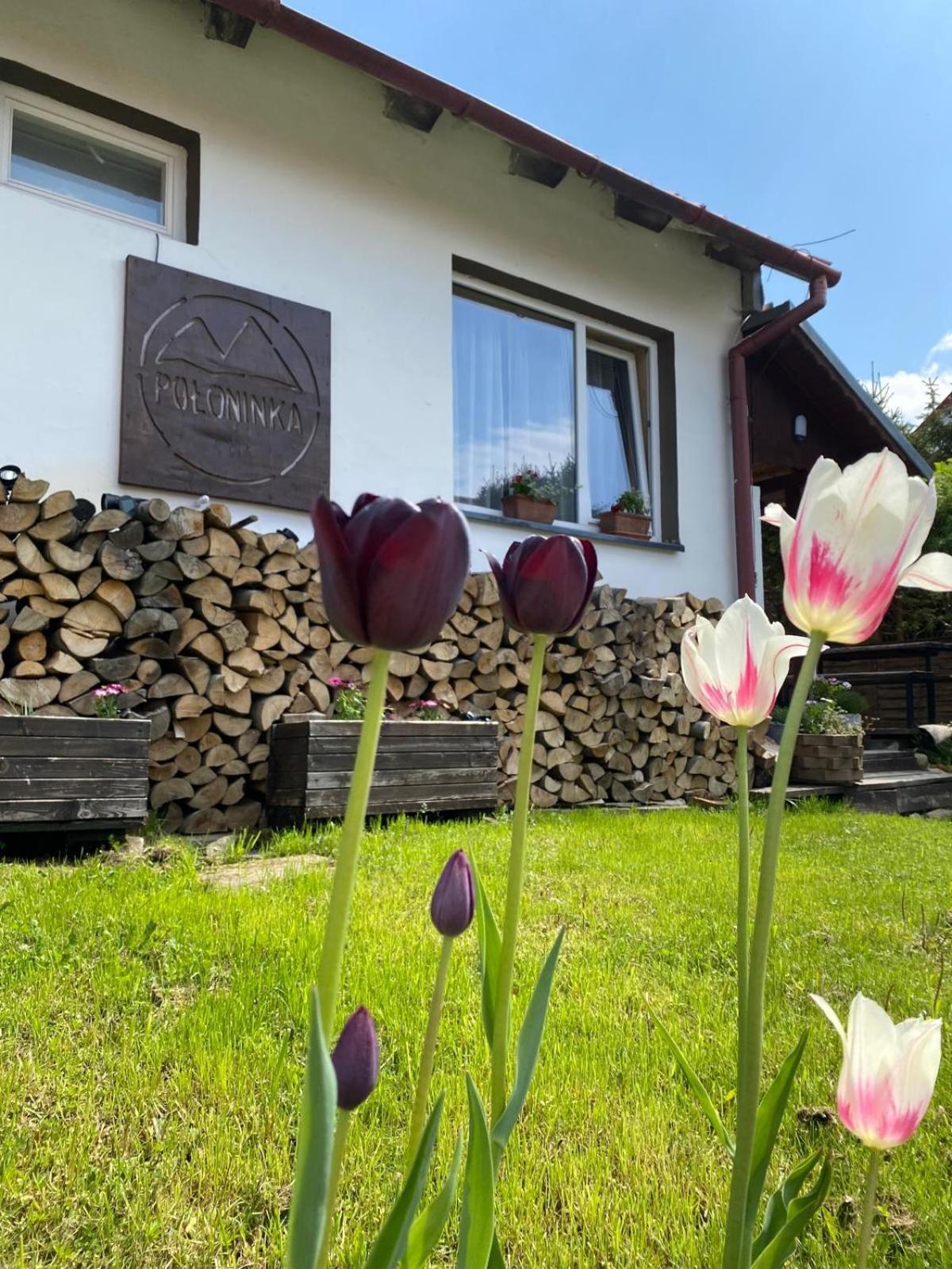 Poloninka Pokoje Ustrzyki Gorne Bagian luar foto